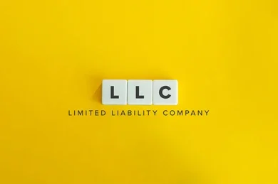 limited-liability-company-llc-business-260nw-1894401616